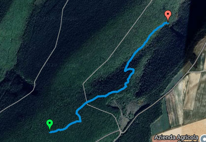 mappa percorso enduro e downhill Sunrise Cingoli