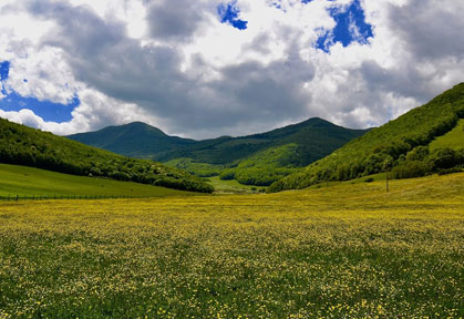 giro ad anello in bici sul monte san vicino in MTB