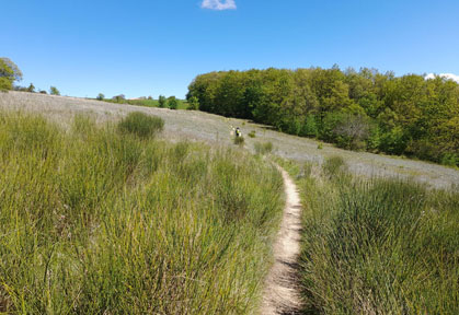 percorso mountain bike i fossi di cingoli