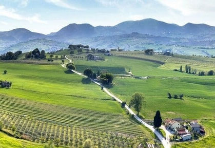 giro del verdicchio e dei castelli